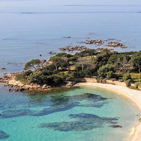 Studio Rue Pietonne Ajaccio Ajaccio  Eksteriør bilde