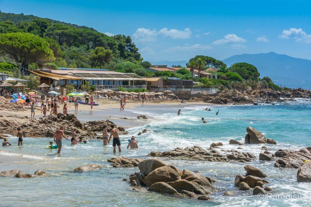 Studio Rue Pietonne Ajaccio Ajaccio  Eksteriør bilde